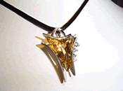 amber necklace